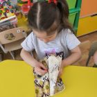 IMG_20260316_111553.jpg
